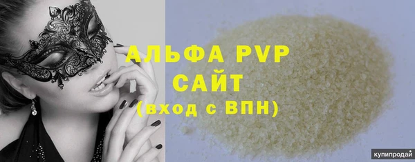 индика Балахна