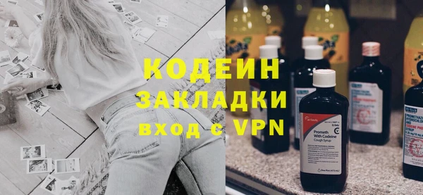 индика Балахна