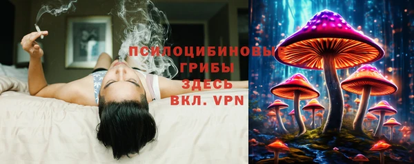 индика Балахна