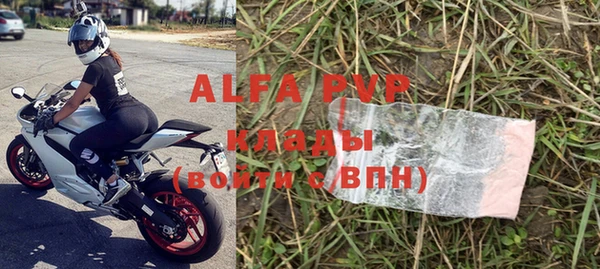 индика Балахна